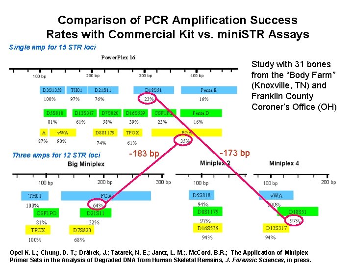 Comparison of PCR Amplification Success Rates with Commercial Kit vs. mini. STR Assays Single