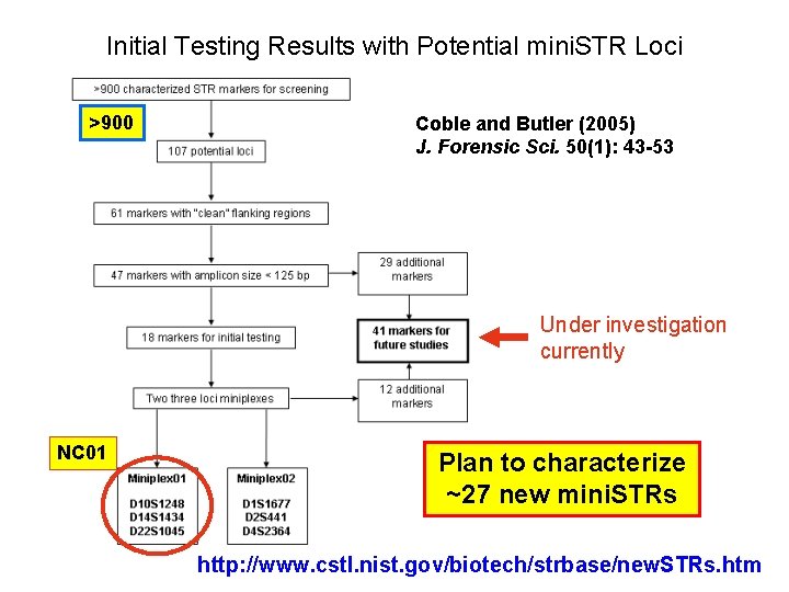 Initial Testing Results with Potential mini. STR Loci >900 Coble and Butler (2005) J.