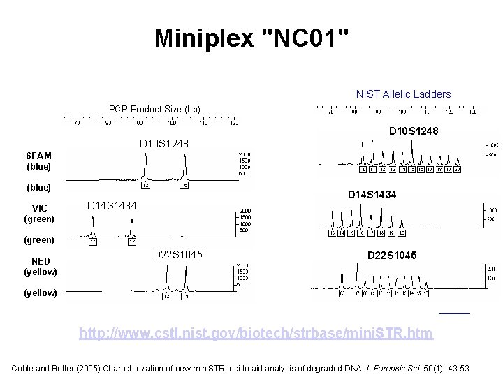 Miniplex "NC 01" NIST Allelic Ladders PCR Product Size (bp) D 10 S 1248