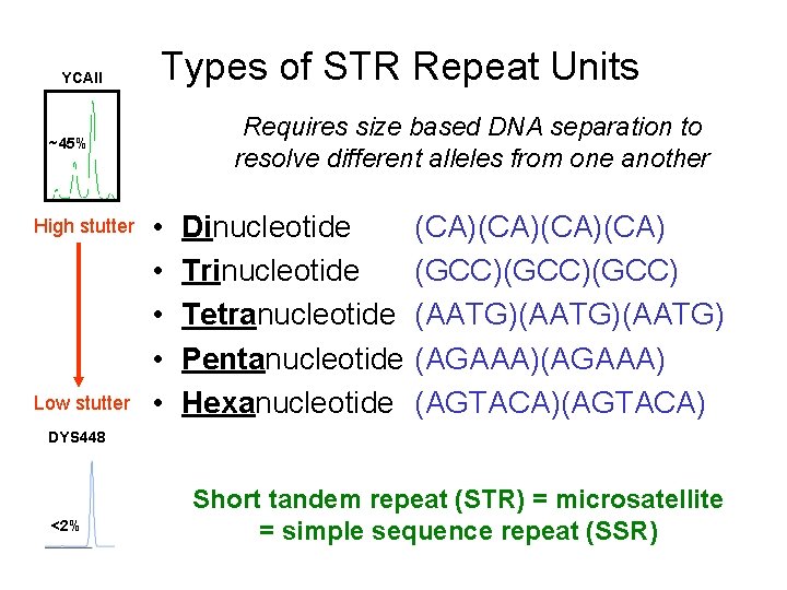 YCAII Types of STR Repeat Units Requires size based DNA separation to resolve different