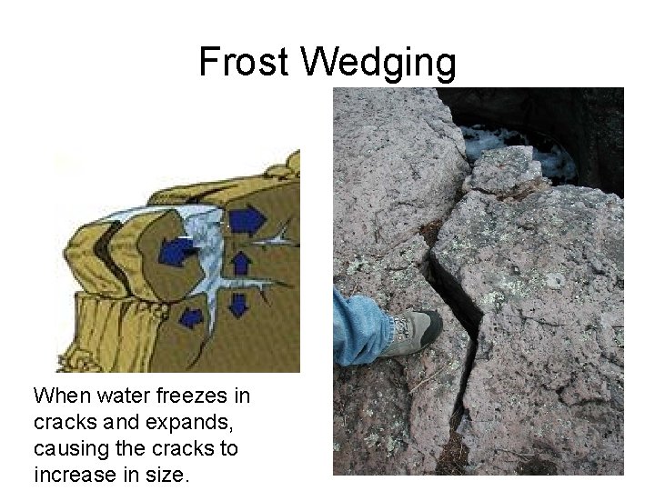 Frost Wedging When water freezes in cracks and expands, causing the cracks to increase