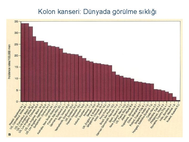 Kolon kanseri: Dünyada görülme sıklığı 