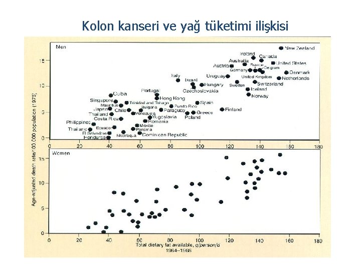 Kolon kanseri ve yağ tüketimi ilişkisi 