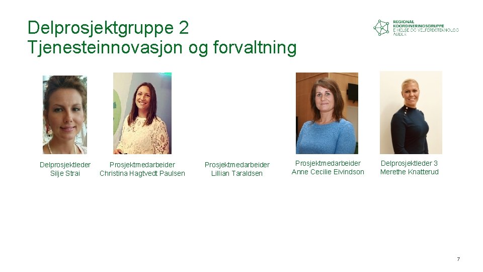 Delprosjektgruppe 2 Tjenesteinnovasjon og forvaltning Delprosjektleder Silje Strai Prosjektmedarbeider Christina Hagtvedt Paulsen Prosjektmedarbeider Lillian