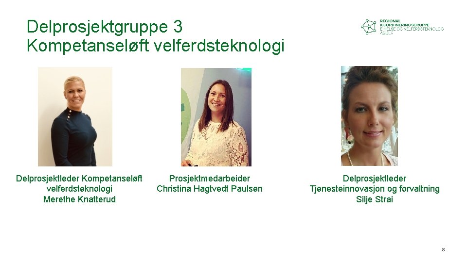 Delprosjektgruppe 3 Kompetanseløft velferdsteknologi Delprosjektleder Kompetanseløft velferdsteknologi Merethe Knatterud Prosjektmedarbeider Christina Hagtvedt Paulsen Delprosjektleder