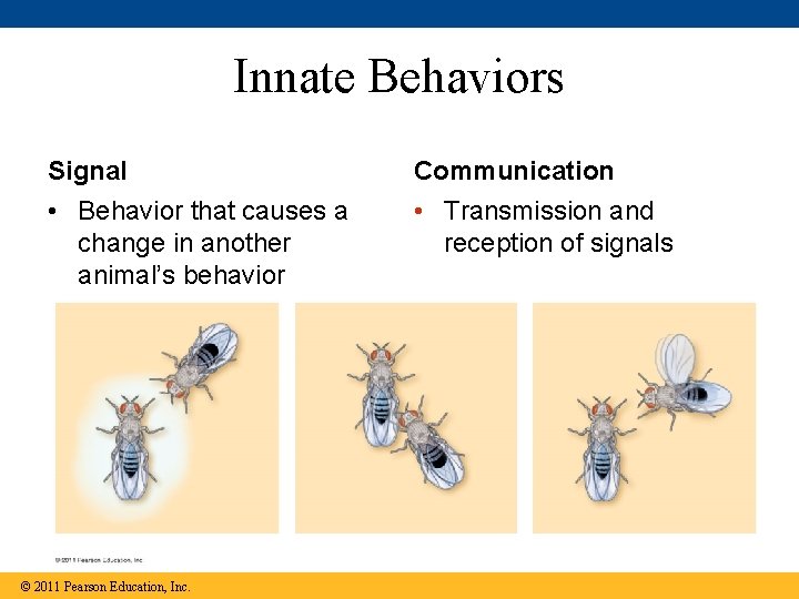 Innate Behaviors Signal Communication • Behavior that causes a change in another animal’s behavior