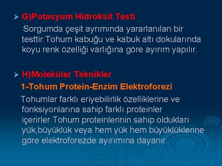 Ø G)Potasyum Hidroksit Testi Sorgumda çeşit ayrımında yararlanılan bir testtir. Tohum kabuğu ve kabuk