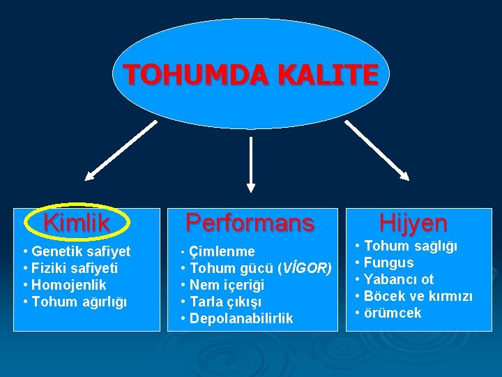 TOHUMDA KALITE Kimlik • Genetik safiyet • Fiziki safiyeti • Homojenlik • Tohum ağırlığı
