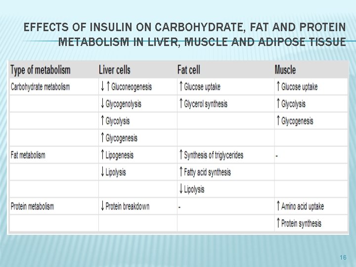 EFFECTS OF INSULIN ON CARBOHYDRATE, FAT AND PROTEIN METABOLISM IN LIVER, MUSCLE AND ADIPOSE