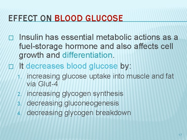 EFFECT ON BLOOD GLUCOSE � � Insulin has essential metabolic actions as a fuel-storage
