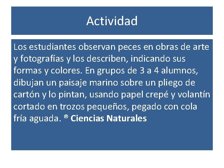 Actividad Los estudiantes observan peces en obras de arte y fotografías y los describen,