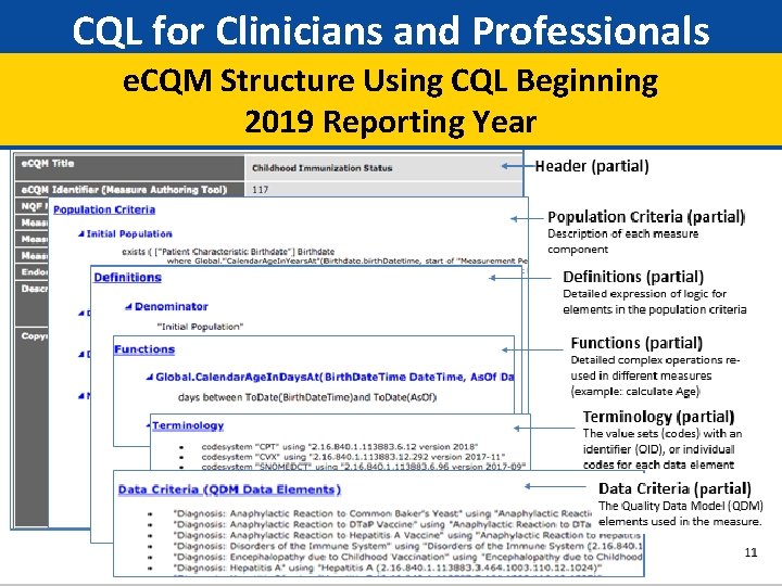 CQL for Clinicians and Professionals e. CQM Structure Using CQL Beginning 2019 Reporting Year