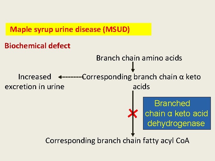 Maple syrup urine disease (MSUD) Biochemical defect Branch chain amino acids Increased excretion in