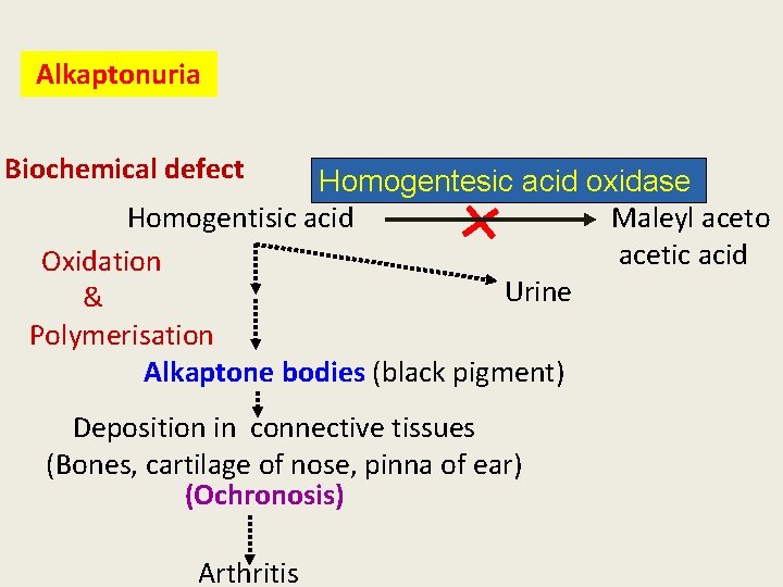 Alkaptonuria Biochemical defect Homogentesic acid oxidase Homogentisic acid Maleyl aceto acetic acid Oxidation Urine