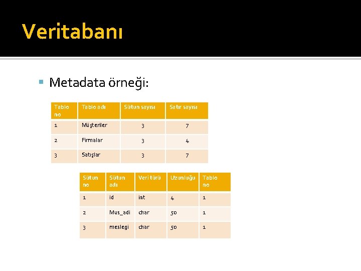 Veritabanı Metadata örneği: Tablo no Tablo adı Sütun sayısı Satır sayısı 1 Müşteriler 3