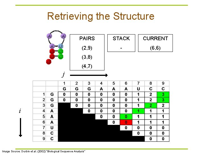 Retrieving the Structure A A G G A U C C PAIRS STACK CURRENT