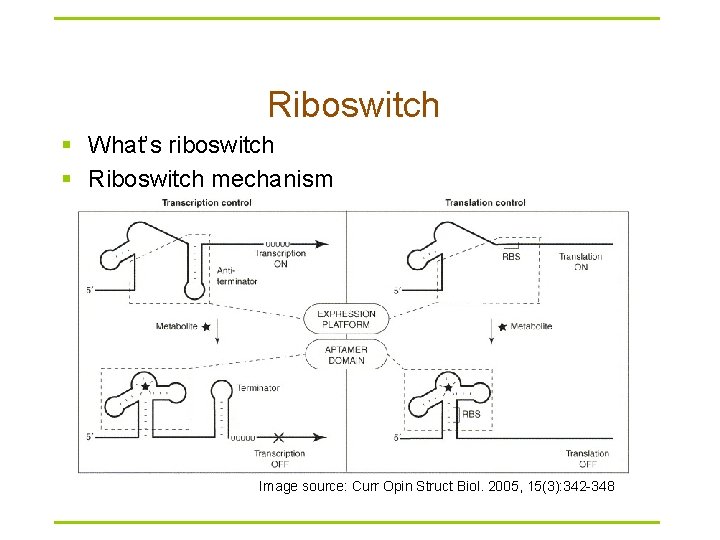 Riboswitch § What’s riboswitch § Riboswitch mechanism Image source: Curr Opin Struct Biol. 2005,