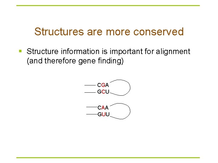 Structures are more conserved § Structure information is important for alignment (and therefore gene