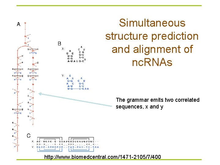 Simultaneous structure prediction and alignment of nc. RNAs The grammar emits two correlated sequences,