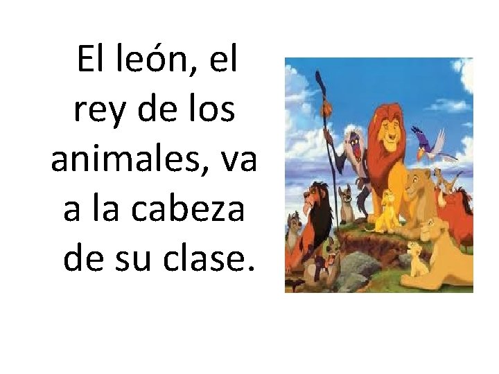  El león, el rey de los animales, va a la cabeza de su