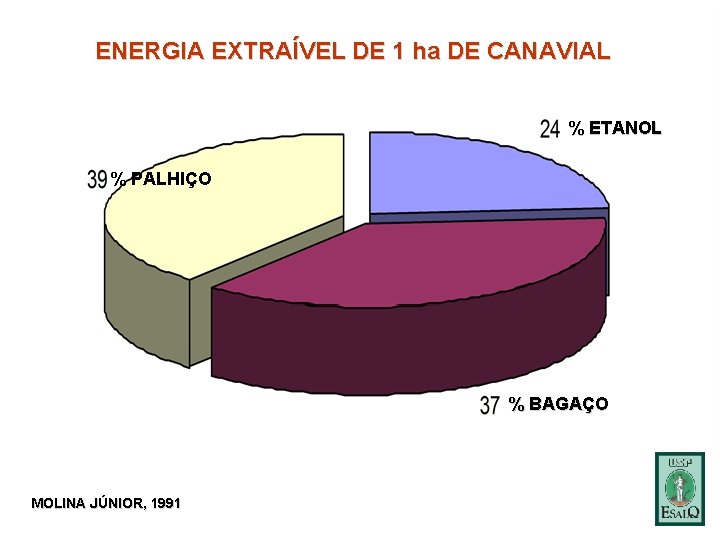 ENERGIA EXTRAÍVEL DE 1 ha DE CANAVIAL % ETANOL % PALHIÇO % BAGAÇO MOLINA