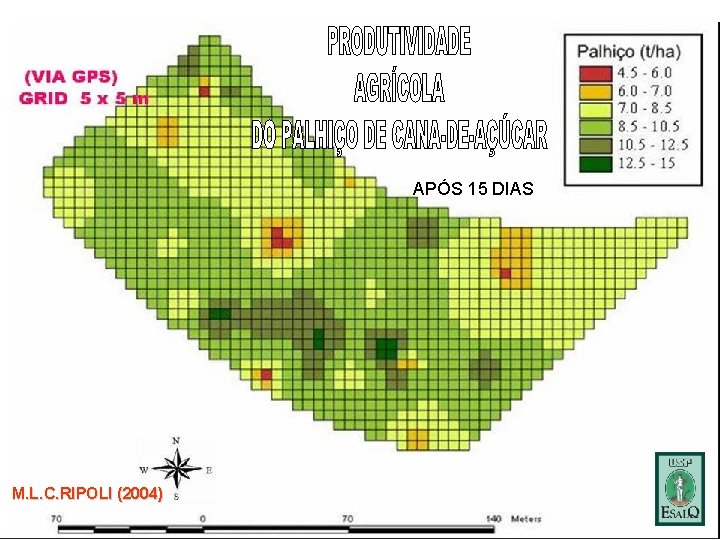 APÓS 15 DIAS M. L. C. RIPOLI (2004) 