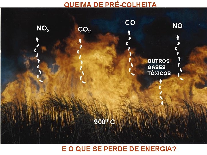 QUEIMA DE PRÉ-COLHEITA NO 2 CO CO 2 NO OUTROS GASES TÓXICOS 9000 C