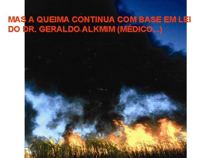 MAS A QUEIMA CONTINUA COM BASE EM LEI DO DR. GERALDO ALKMIM (MÉDICO. .