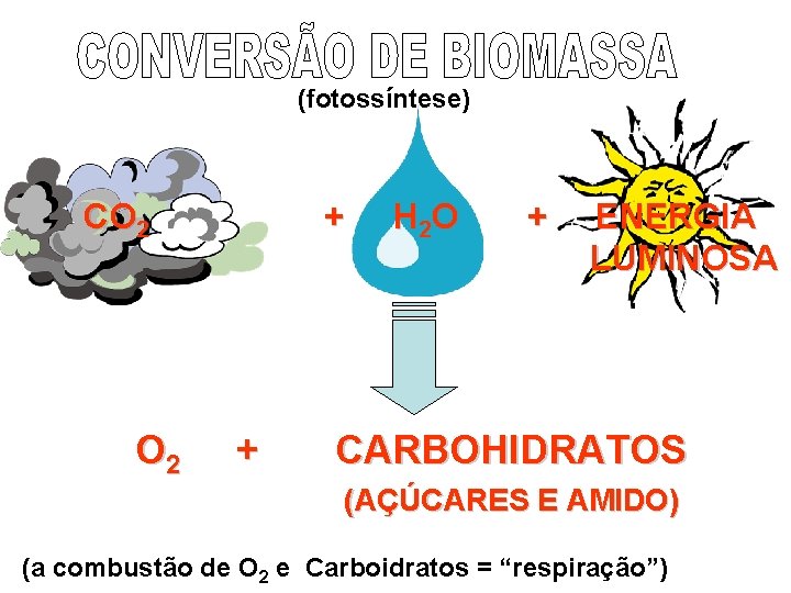 (fotossíntese) CO 2 + + H 2 O + ENERGIA LUMINOSA CARBOHIDRATOS (AÇÚCARES E