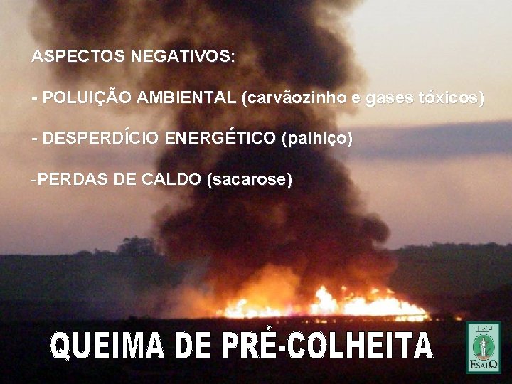 ASPECTOS NEGATIVOS: - POLUIÇÃO AMBIENTAL (carvãozinho e gases tóxicos) - DESPERDÍCIO ENERGÉTICO (palhiço) -PERDAS