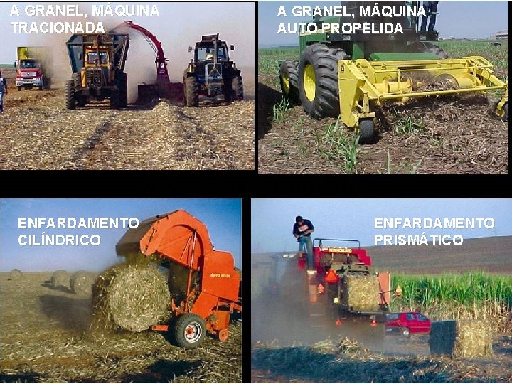 A GRANEL, MÁQUINA TRACIONADA A GRANEL, MÁQUINA AUTO PROPELIDA TIPOS DE RECOLHIMENTO ENFARDAMENTO CILÍNDRICO