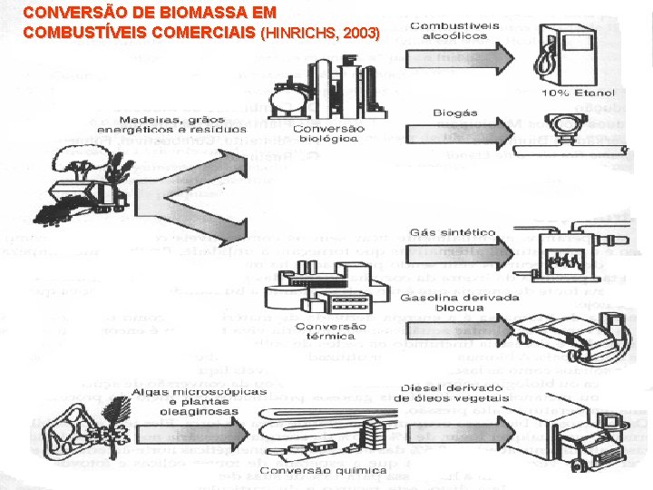 CONVERSÃO DE BIOMASSA EM COMBUSTÍVEIS COMERCIAIS (HINRICHS, 2003) 