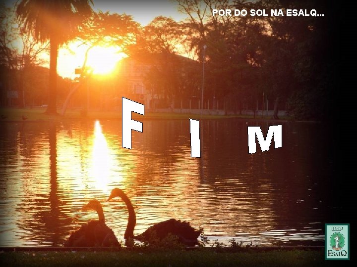 POR DO SOL NA ESALQ. . . 