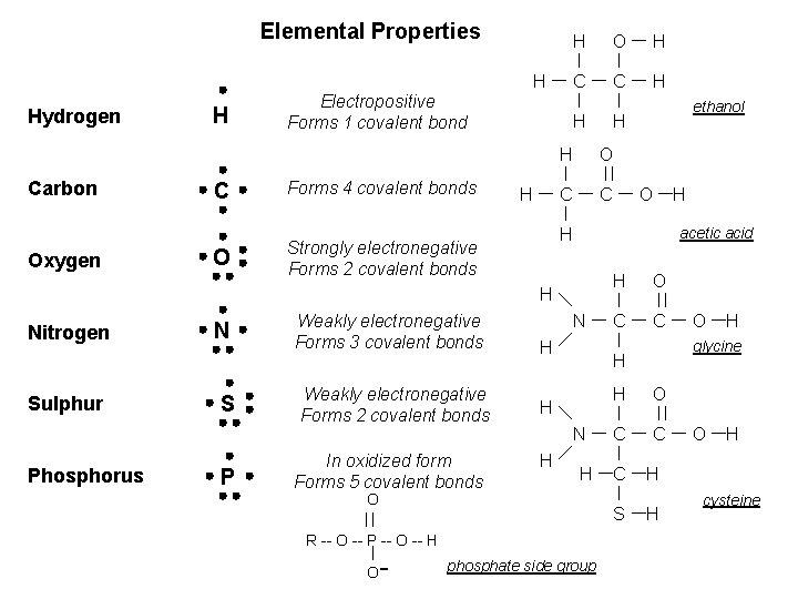 Elemental Properties H Hydrogen Carbon Oxygen H C O Electropositive Forms 1 covalent bond