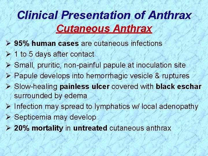 Clinical Presentation of Anthrax Cutaneous Anthrax Ø Ø Ø 95% human cases are cutaneous