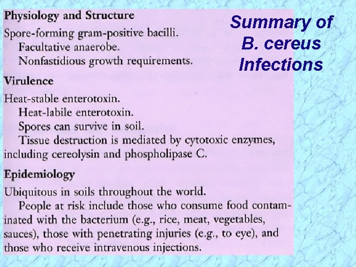 Summary of B. cereus Infections Summary of B. cereus Infections