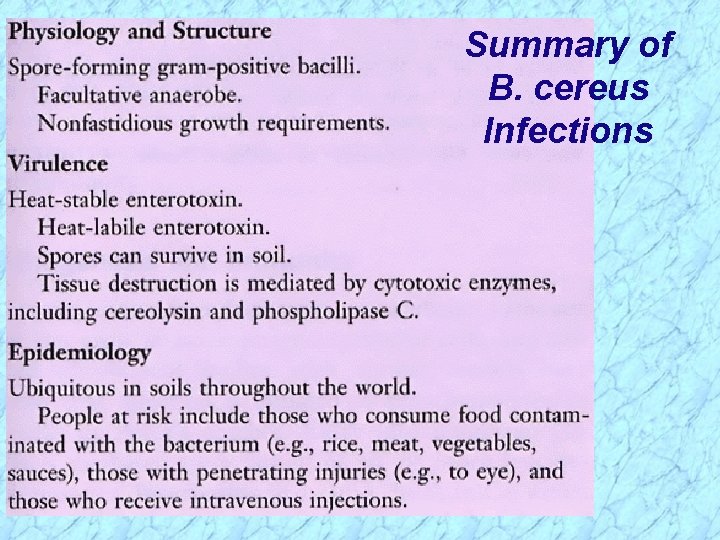 Summary of B. cereus Infections 