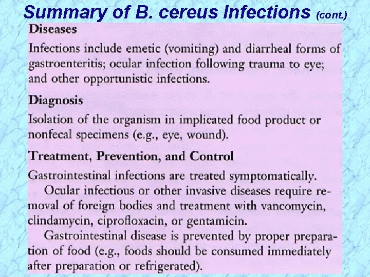 Summary of B. cereus Infections (cont. ) 