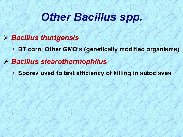 Other Bacillus spp. Ø Bacillus thurigensis • BT corn; Other GMO’s (genetically modified organisms)