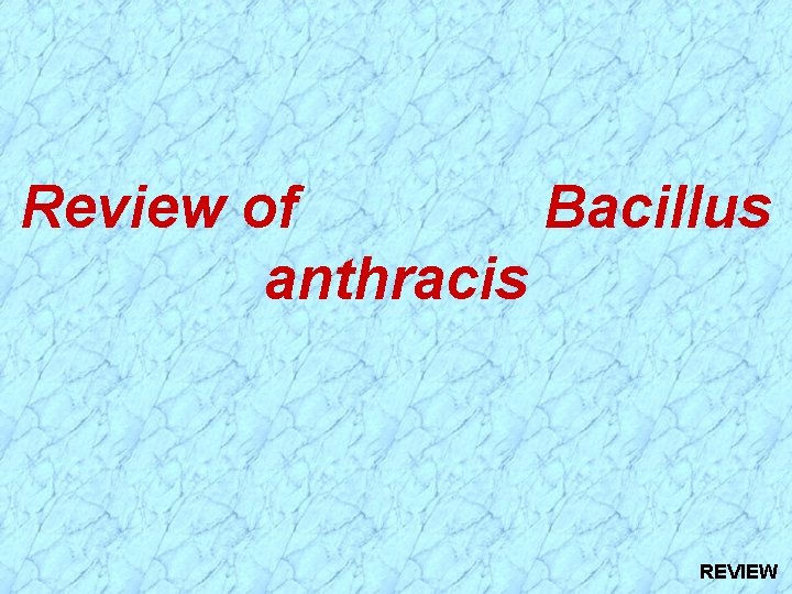 Review of Bacillus anthracis REVIEW Review of Bacillus anthracis REVIEW