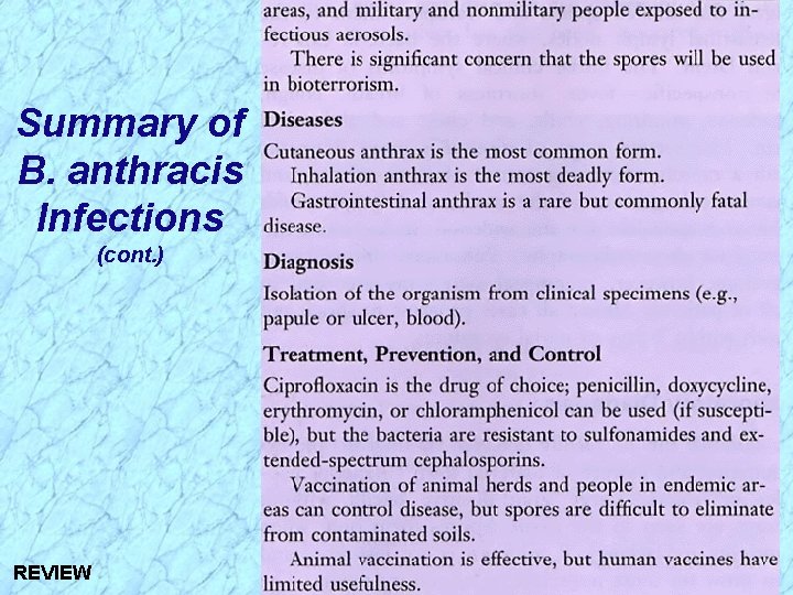 Summary of B. anthracis Infections (cont. ) REVIEW 