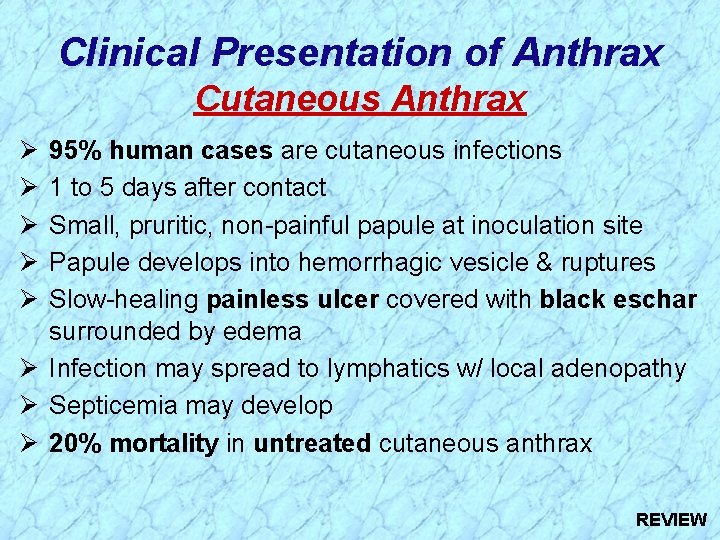 Clinical Presentation of Anthrax Cutaneous Anthrax Ø Ø Ø 95% human cases are cutaneous Clinical Presentation of Anthrax Cutaneous Anthrax Ø Ø Ø 95% human cases are cutaneous