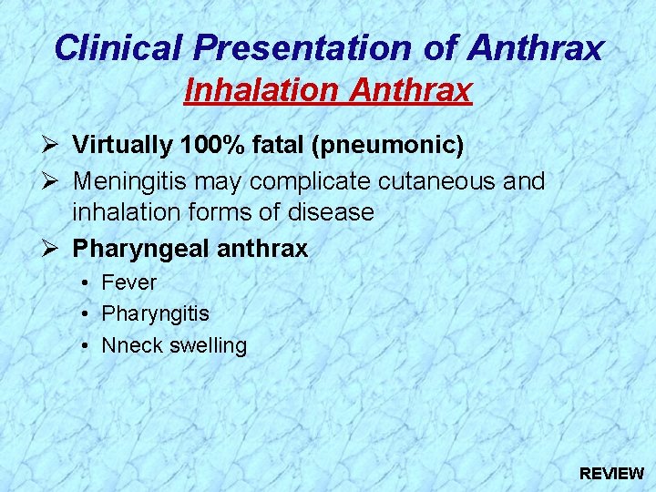 Clinical Presentation of Anthrax Inhalation Anthrax Ø Virtually 100% fatal (pneumonic) Ø Meningitis may