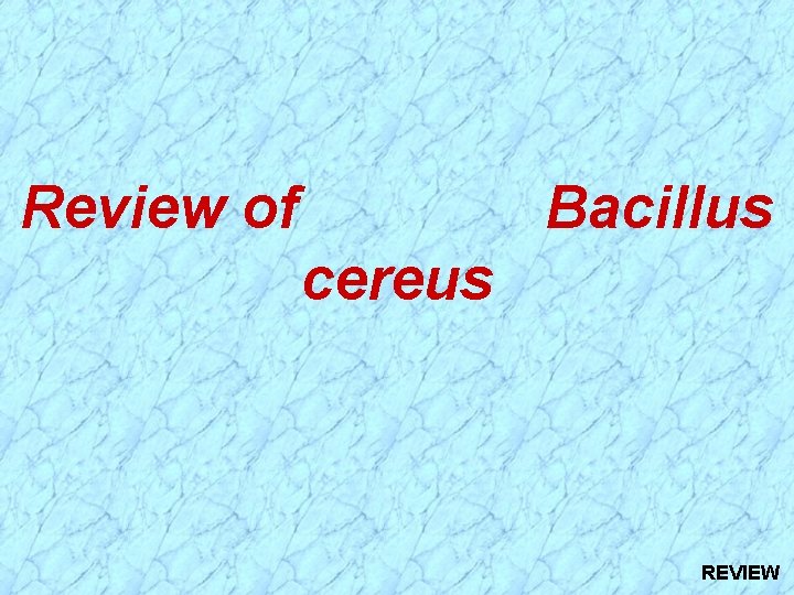 Review of Bacillus cereus REVIEW Review of Bacillus cereus REVIEW