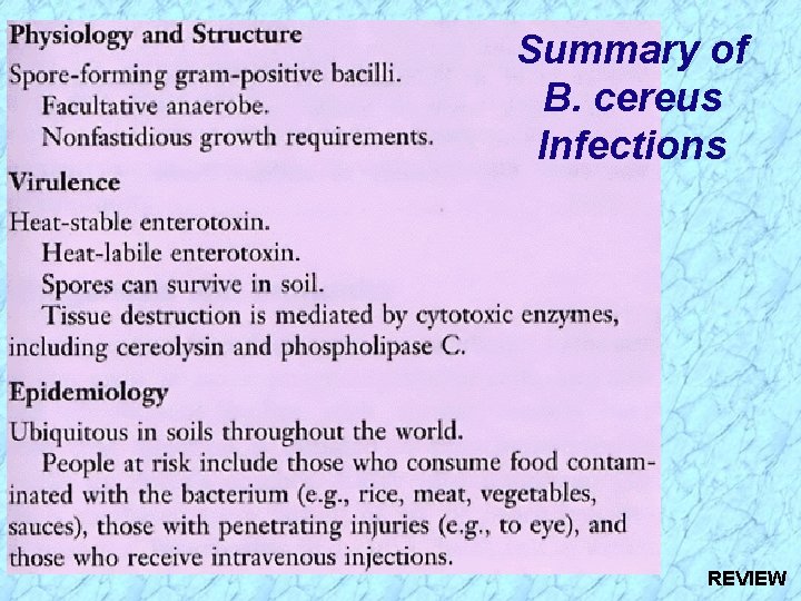 Summary of B. cereus Infections REVIEW 