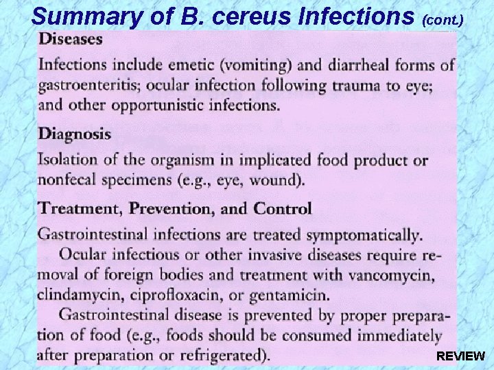 Summary of B. cereus Infections (cont. ) REVIEW 