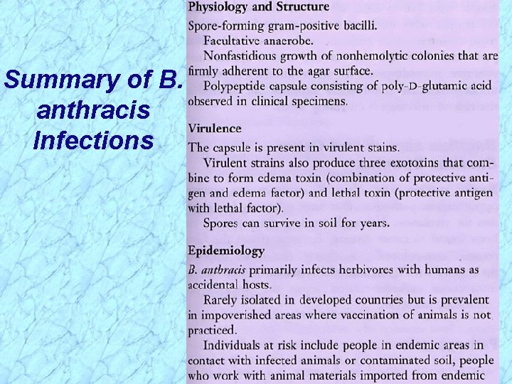 Summary of B. anthracis Infections 
