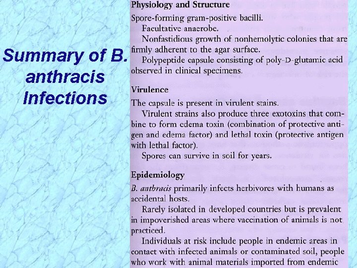 Summary of B. anthracis Infections Summary of B. anthracis Infections