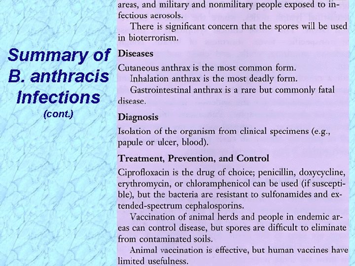 Summary of B. anthracis Infections (cont. ) 