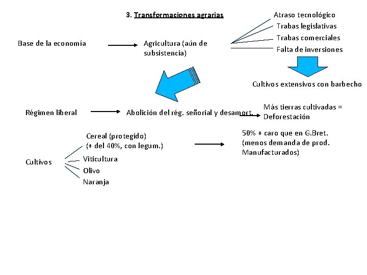 3. Transformaciones agrarias Base de la economía Atraso tecnológico Trabas legislativas Trabas comerciales Falta